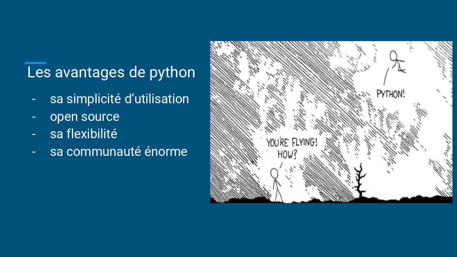 avantage de python